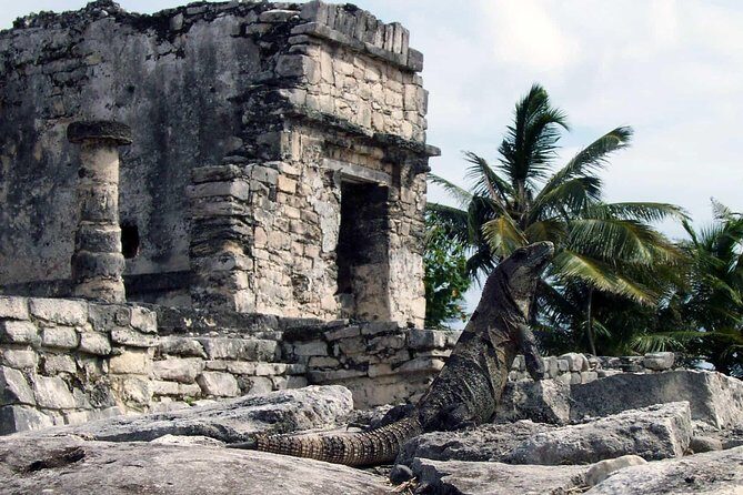 Amazing adventure in Tulum: Ruins, cenotes, transport and lunch - Key Points