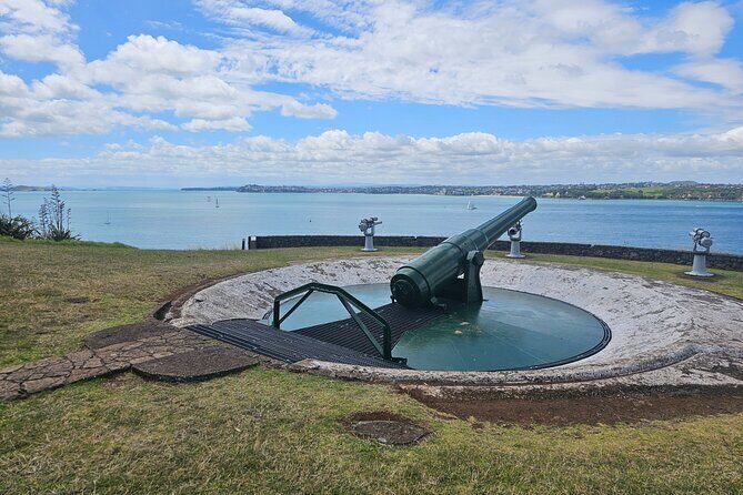 Amazing Auckland City Half Day Guided Tour - What You Can Expect from the Experience