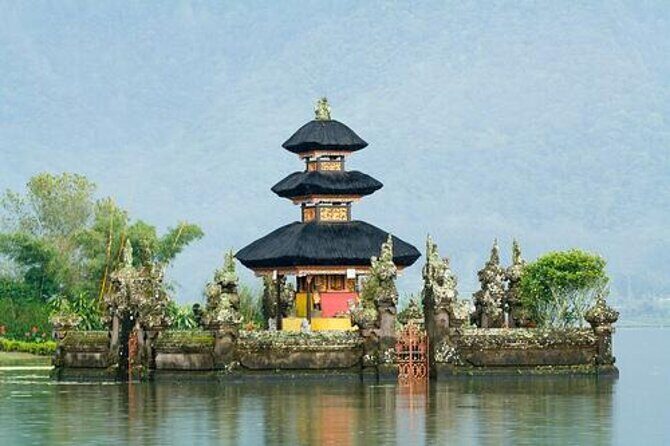 Amazing Bali Dolphin Watching Trip Experience - Introduction
