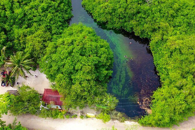Amazing beginner dive in Tulum cenote (or refresher dive) - Detailed Itinerary Breakdown