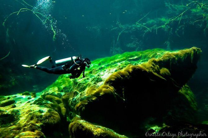 Amazing beginner dive in Tulum cenote (or refresher dive) - Final Thoughts: Who Will Love This?