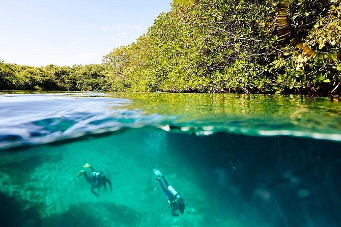 Amazing beginner dive in Tulum cenote (or refresher dive) - FAQ