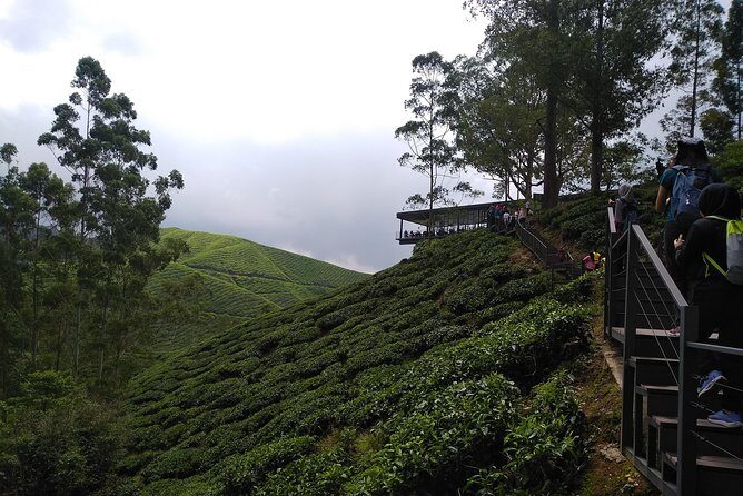 Amazing Cameron Highland Day Tour From Kuala Lumpur - FAQ
