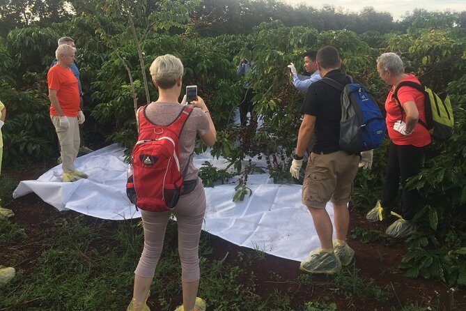 Amazing Coffee full-day tour in Buon Ma Thuot - Daklak - Final Thoughts: Is This Tour Worth It?