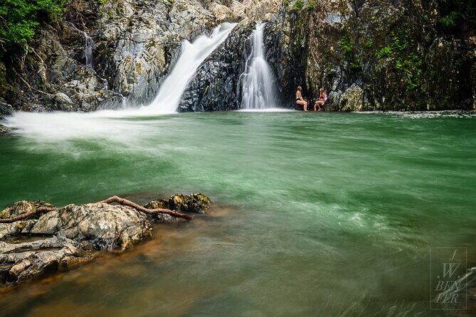 Amazing Daintree Rainforest Tour Waterfall Hike, Lunch, Swim & Crocodile Cruise - Key Points