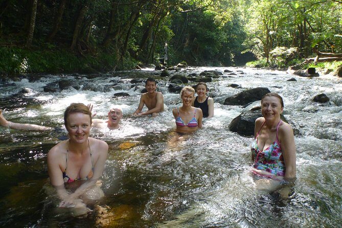 Amazing Daintree Rainforest Tour Waterfall Hike, Lunch, Swim & Crocodile Cruise - Who Will Love This Tour?