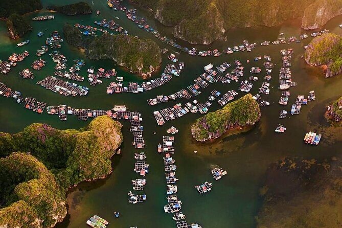 Amazing day - Boat trip discover real Ha Long Bay and Lan Ha Bay - Who Should Consider This Tour?