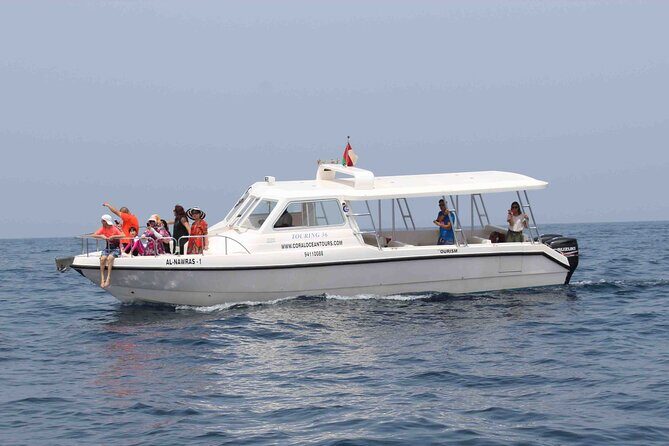 Amazing Dolphin Watching Tour In Muscat - Who Should Consider This Tour?