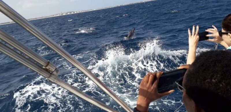 Amazing Full Day Boat Rental - Sal Island, Cape Verde - Key Points