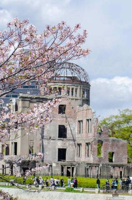 Amazing Hiroshima: Private City Tour with a Local Guide - The Sum Up