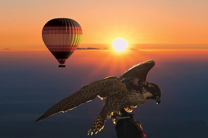 Amazing Hot Air Balloon With Beautiful Desert Sunrise View - What Makes This Tour Stand Out?