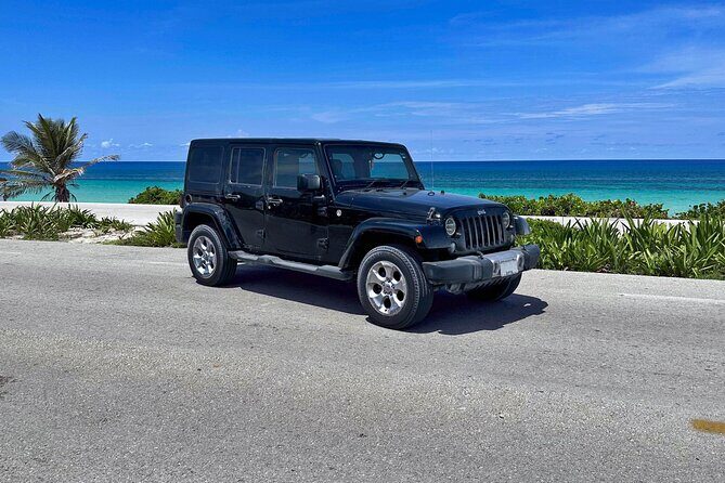Amazing Jeep Tour Visit Punta Sur Park and San Gervasio Ruins - FAQ