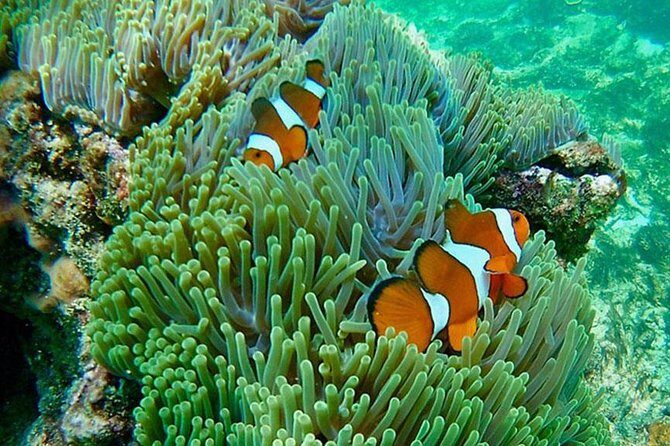 Amazing Krabi 7 Islands One Day Snorkeling Tour By Big Longtail Boat - Transportation & Group Size