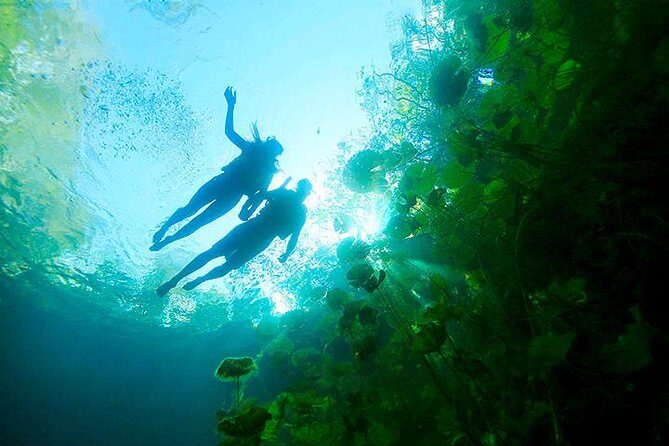 Amazing Mayan Tour Xenotes from Cancun - Who Will Enjoy This Tour?