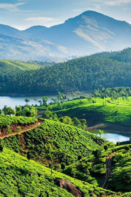Amazing Munnar Alleppey Tour 4D/3N - FAQ