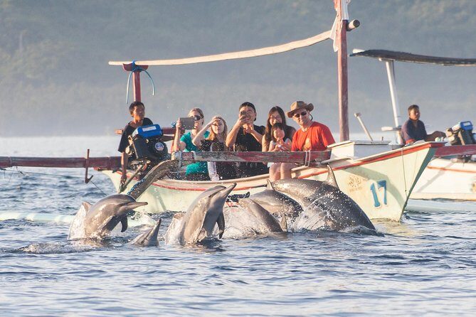 Amazing Private Tours: Dolphins Lovina and Gitgit Waterfall include Lunch - Transportation & Timing