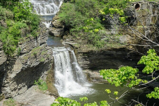 Amazing Scavenger Hunt: Ithaca Big Red Cornell - The Price and Its Value