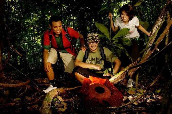 Amazing Taman Negara Day Trip from Kuala Lumpur Including Lunch - Key Points