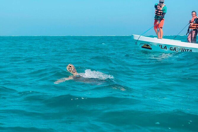 Amazing Tour in Sian Kaan biosphere with Transportation from Cancún! - Practical Tips for Making the Most of Your Day