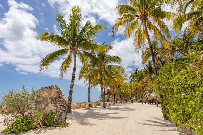 Amazing tour to 3 eco-parks with extreme and incredible adventures. - The Practicalities