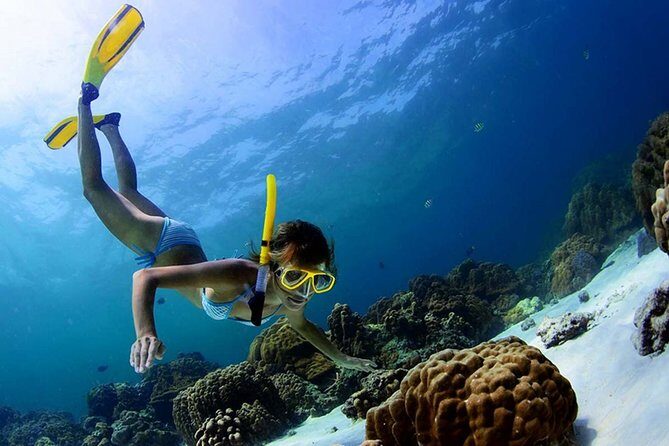 Amazing tour to Sian Kaan Biosphere Reserve. Perfect tour for nature lovers - The Journey to Sian Kaan