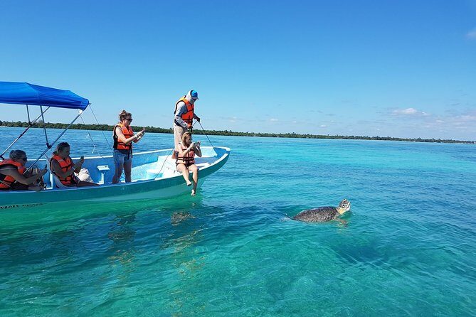 Amazing tour to Sian Kaan Biosphere Reserve. Perfect tour for nature lovers - Additional Details