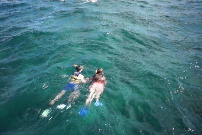 Amazing Unlimited Boat Trip to Isla Mujeres + Transportation from Cancún - Snorkeling at Punta Sam “El Meco” Reef