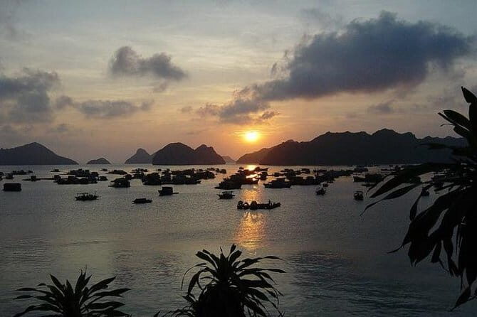 Amazing Vespa Night Tour For Food Lover - The Sum Up: Who Should Consider This Tour?