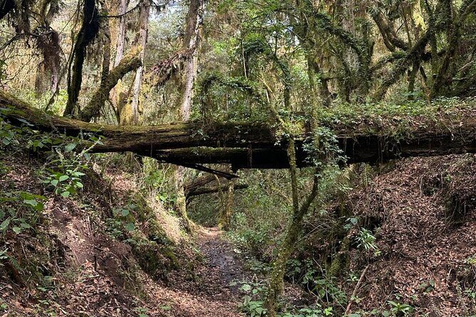Amazing Walk through the Zapotec Mountains with Hot Chocolate - Key Points
