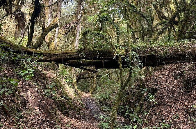 Amazing Walk through the Zapotec Mountains with Hot Chocolate - Practical Considerations