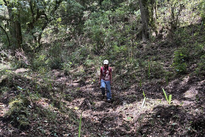Amazing Walk through the Zapotec Mountains with Hot Chocolate - Final Thoughts: Who Will Love This Tour?