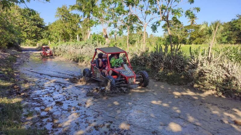 Amber Cove & Taino Bay: Buggy Tour with Swimming & Tasting - The Real Deal: What Travelers Are Saying