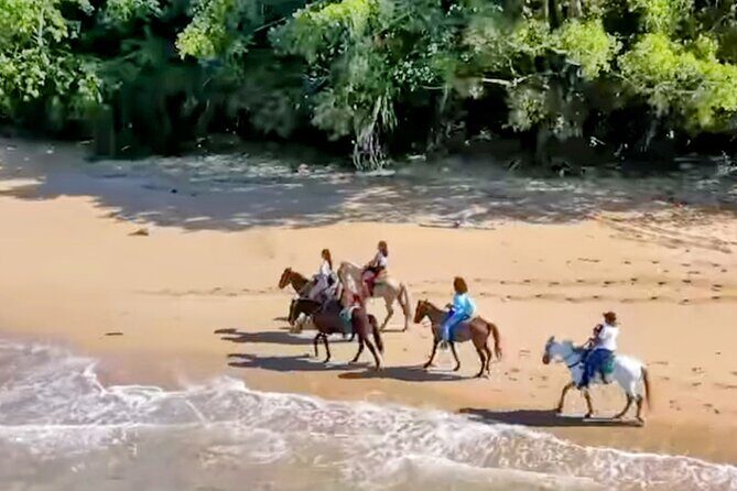 AMBER COVE-TAINO BAY Horses Beach Ride & City Sightseeing - Transportation and Group Size