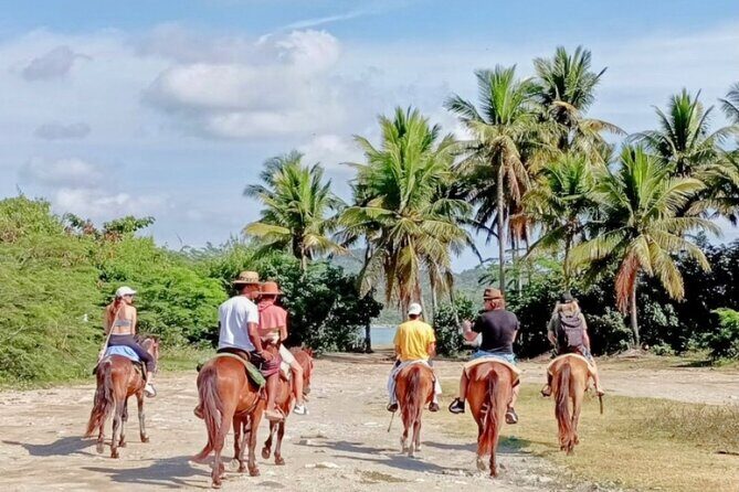 AMBER COVE-TAINO BAY Horses Beach Ride & City Sightseeing - FAQ