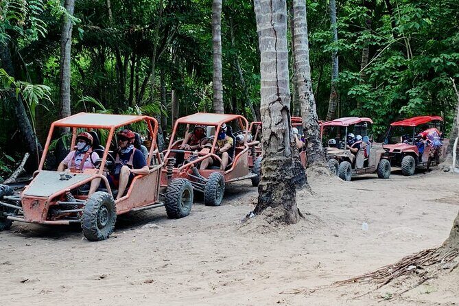 Amber Cove & Taino Bay Shore Excursion: 2 person Buggy Tour - Who Will Love This Tour?