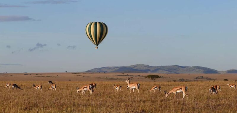 Amboseli; 2 days safari to Amboseli park from Nairobi. - What’s Included and What’s Not