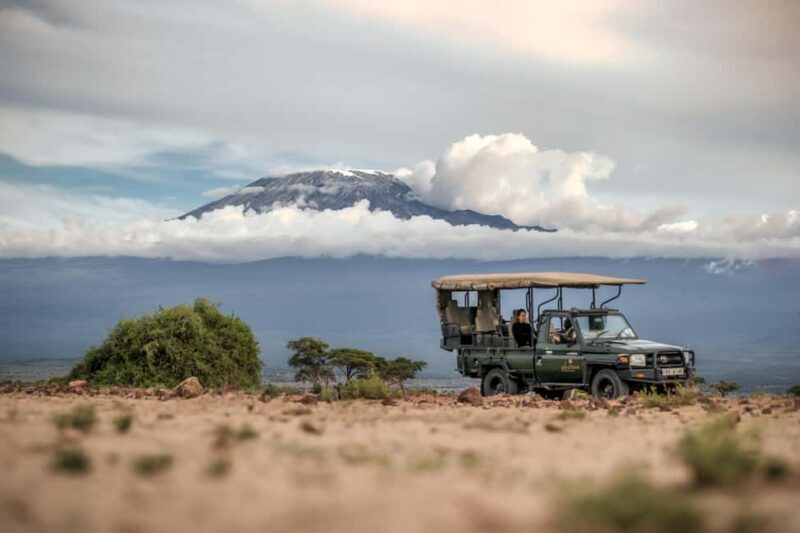 Amboseli: 3-Day Safari Adventure at Tortilis Camp - Introduction: An Authentic Kenyan Safari Awaits