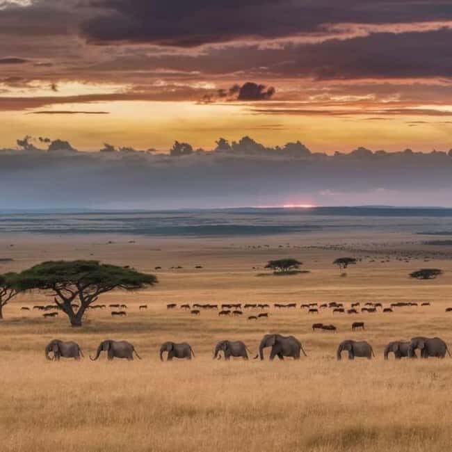 AMBOSELI: 3 DAYS AMBOSELI BUDGET GROUP JOINING SAFARI - How the Tour Unfolds: An In-Depth Look