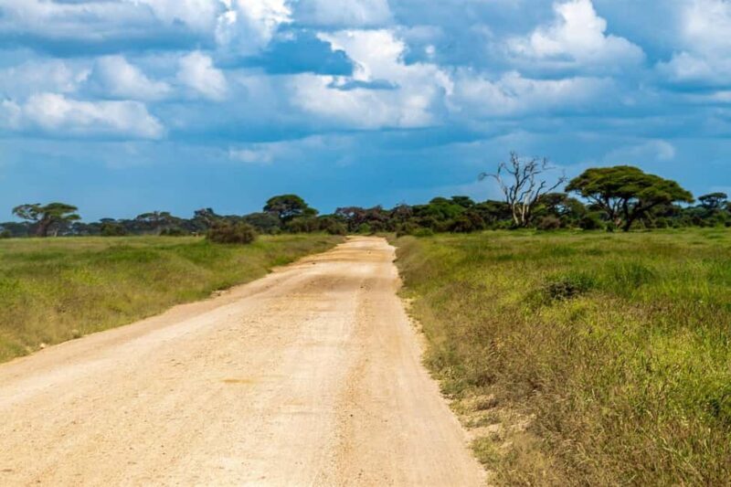Amboseli: A 3-day group joining tour - Authentic Experiences and Customer Feedback