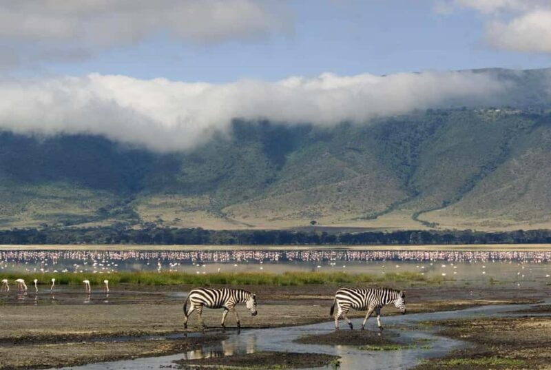 Amboseli And Lake Naivasha Safari: A 5-Day Scenic Adventures - Key Points
