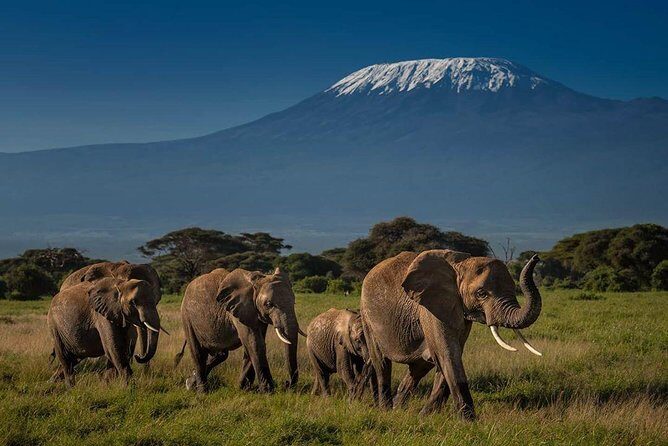 Amboseli Cultural & Wildlife Tour - 4 Day Unforgettable Budget Safari - The Itinerary in Detail