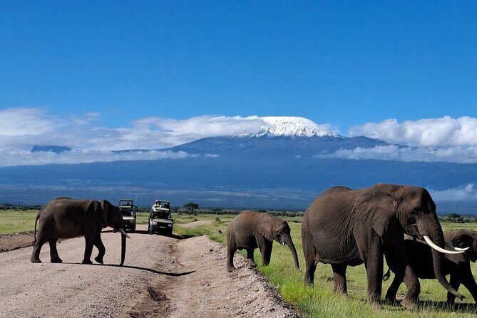 Amboseli Day Tour from Nairobi - The Itinerary in Detail