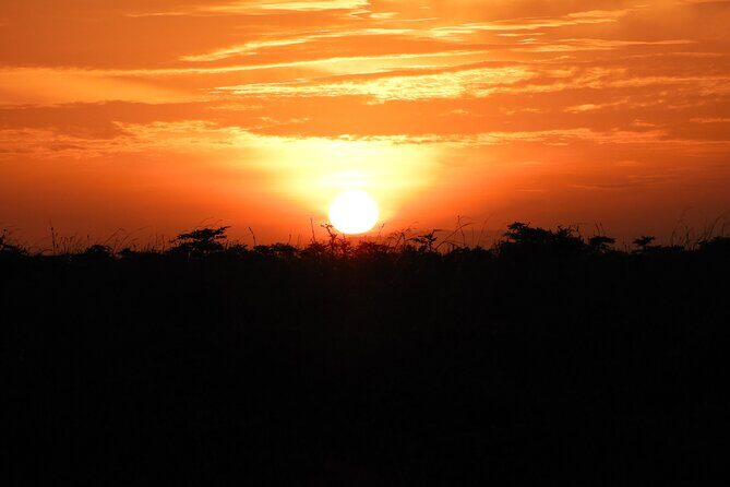 Amboseli Day Tour from Nairobi - The Sum Up: Is It Worth It?