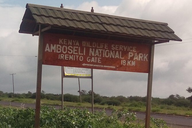 Amboseli Day Trip from Nairobi - What to Expect on the Amboseli Day Trip