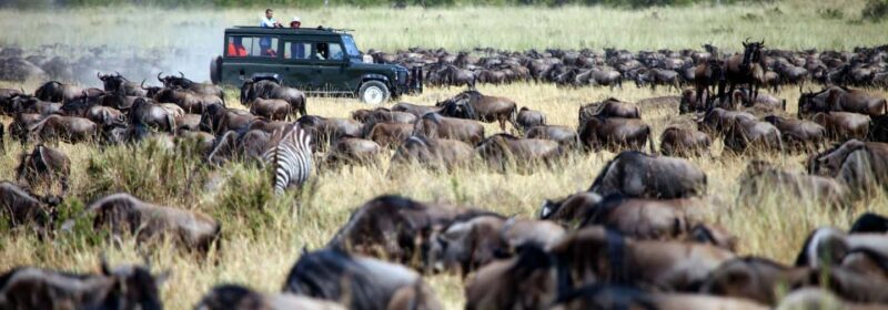 Amboseli: Day Trip in a 4X4 (WiFi & Picnic Lunch Included) - An In-Depth Look at the Amboseli Day Trip