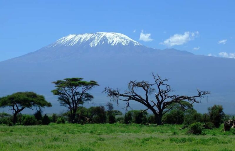 "Amboseli Day Trip with Picnic Lunch Included" - FAQs