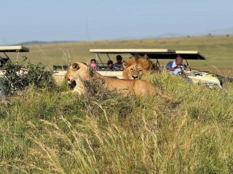 Amboseli National Park: 2-Day 1 Night Safari - Key Points