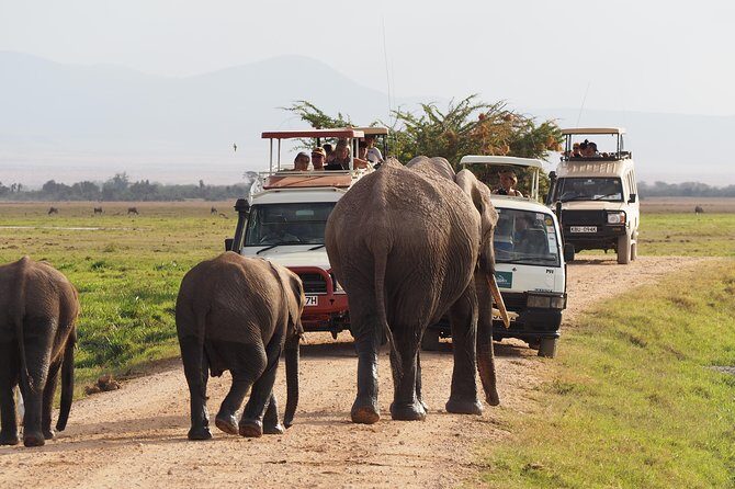 Amboseli National Park Full Day Guided Tour - Introduction