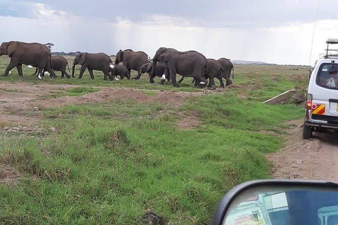 Amboseli National Park Full Day Guided Tour - Is This Tour Worth It?