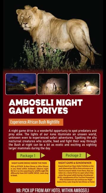 Amboseli: Night Game Drive with Sundowner Experience. AW - Practical Tips for Travelers